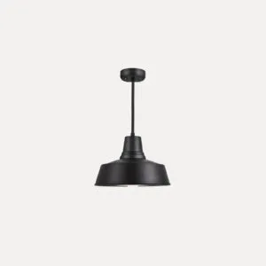 Golden Ceiling Light Long