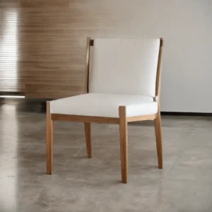 Reclining Chair